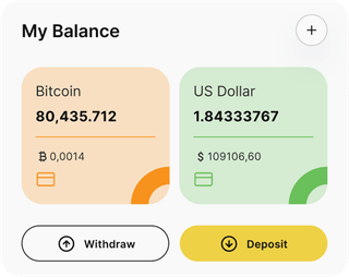 Belka Kapitura automated trading solution — dashboard overview
